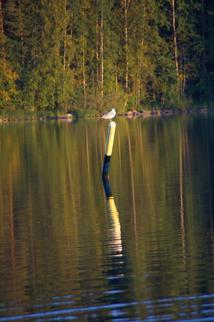 Озеро Каллавеси, Финляндия