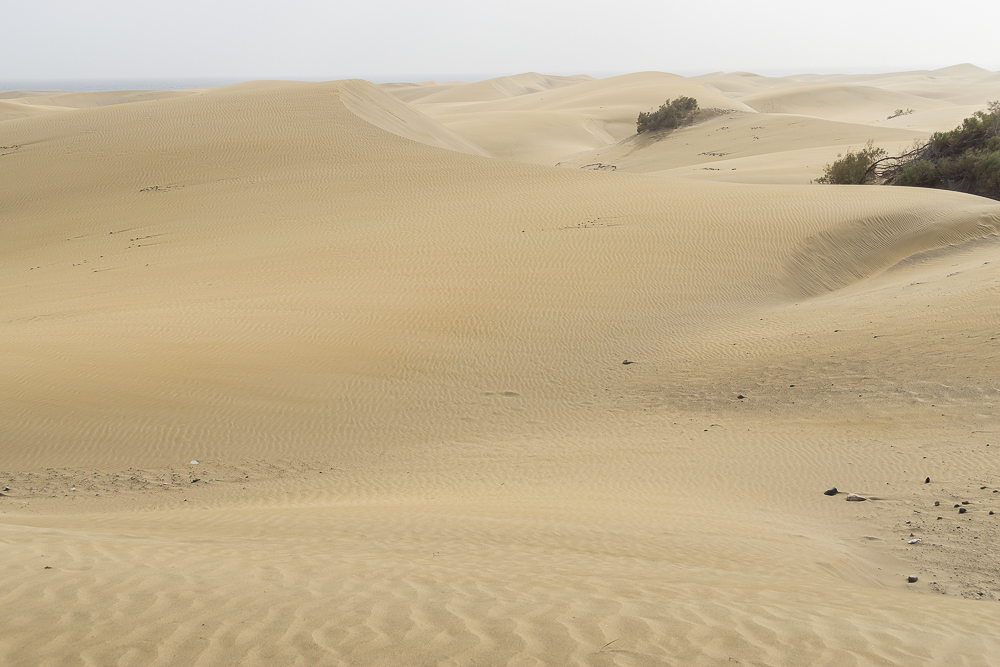 песчаные дюны Маспаломас